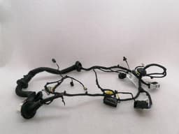 FERRARI Ferrari Roma F169 Wiring Loom 963415 Harness LEFT DOOR LEFT DOOR — thumbnail 5