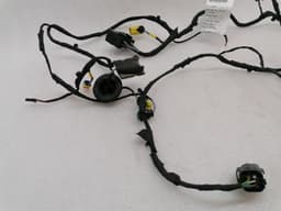 FERRARI FERRARI PORTOFINO F164 WIRING LOOM 770944 LH DOOR WIRING HARNESS LEFT DOOR RHD — thumbnail 2