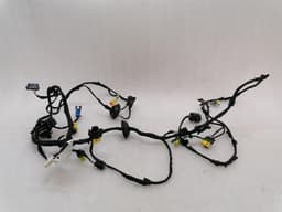 FERRARI Ferrari Portofino F164 Wiring Loom RH DOOR 770941 Wiring Harness RIGHT DOOR — thumbnail 1