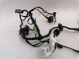 FERRARI Ferrari Portofino F164 Wiring Loom RH DOOR 770941 Wiring Harness RIGHT DOOR — thumbnail 2