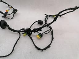 FERRARI Ferrari Portofino F164 Wiring Loom RH DOOR 770941 Wiring Harness RIGHT DOOR — thumbnail 4