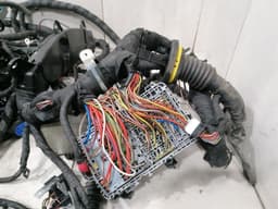 FERRARI Ferrari Portofino F164 Wiring Loom Main Rhd Wiring Harness — thumbnail 3