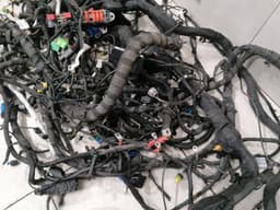 FERRARI Ferrari Portofino F164 Wiring Loom Main Rhd Wiring Harness — thumbnail 6