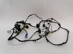 FERRARI Ferrari Portofino F164 Wiring Loom RH DOOR 770941 Wiring Harness RIGHT DOOR — thumbnail 10