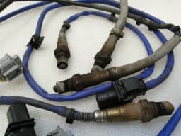 PORSCHE Porsche 911 997 Lambda Sensor Set of 4 9A160616801 Lambda Sensor Set — thumbnail 3