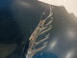 MCLAREN McLaren 570GT Left Rear Quarter Panel Wing 570 Fenders REAR Left DEFECT — thumbnail 5