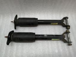 CHEVROLET Chevrolet Corvette C6 Shock Absorber Rear 10302877 Shock Absorber Rear — thumbnail 1