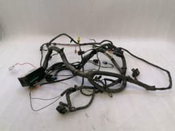 CHEVROLET Chevrolet Corvette C6 Wiring Loom 15924969 Harness Front Light Wiring Harness — thumbnail 1
