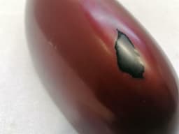 CHEVROLET Chevrolet Corvette C6 right door mirror 15795838 exterior mirror right — thumbnail 10