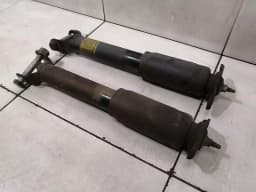 CHEVROLET Chevrolet Corvette C6 Shock Absorber Rear Set 10302879 Shock Absorber Rear Set — thumbnail 1