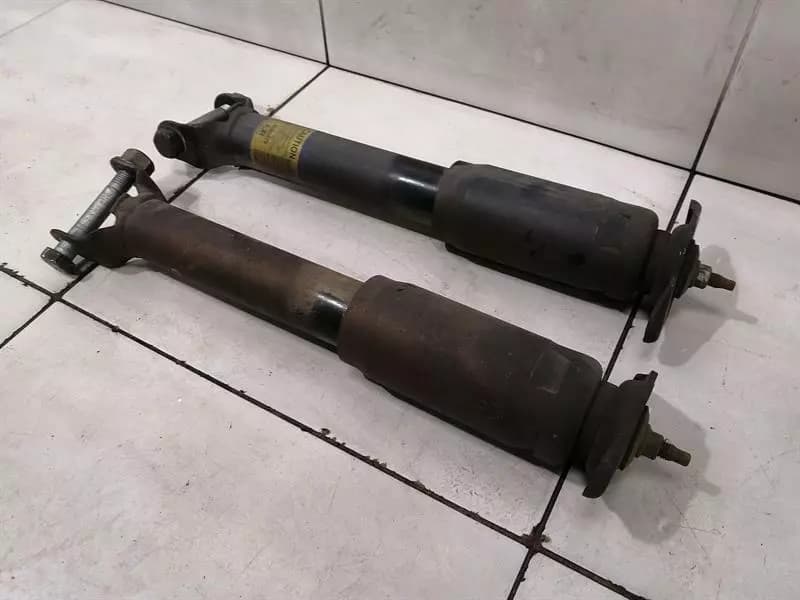 CHEVROLET Chevrolet Corvette C6 Shock Absorber Rear Set 10302879 Shock Absorber Rear Set