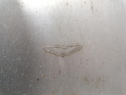 ASTON MARTIN Aston Martin Vantage V12 Undertray BG33-L17C857-KB Underbody Trim — thumbnail 10