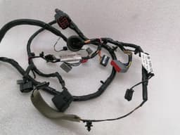 ASTON MARTIN ASTON MARTIN VANTAGE V12 Wiring Loom BG33-14630-AA Harness LH DOOR — thumbnail 8