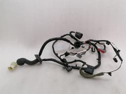 ASTON MARTIN ASTON MARTIN VANTAGE V12 Wiring Loom BG33-14630-AA Harness LH DOOR — thumbnail 1