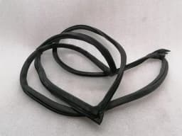 ASTON MARTIN ASTON MARTIN VANTAGE V12 Door Seal 6G33-C20708-AH Door Seals RIGHT — thumbnail 1