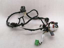 ASTON MARTIN ASTON MARTIN VANTAGE V12 Wiring Loom BG33-14631-AA Harness RH DOOR — thumbnail 1