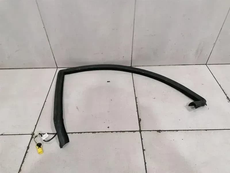 ASTON MARTIN Aston Martin Rapide 10-14 Door Seal ED43-F20709-FA REAR HEATED Door Seals