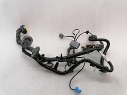 ASTON MARTIN ASTON MARTIN RAPID S Wiring REAR LEFT DOOR AD43-14633-BA Harness — thumbnail 4