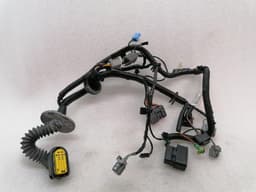 ASTON MARTIN ASTON MARTIN RAPID S Wiring REAR LEFT DOOR AD43-14633-BA Harness — thumbnail 2