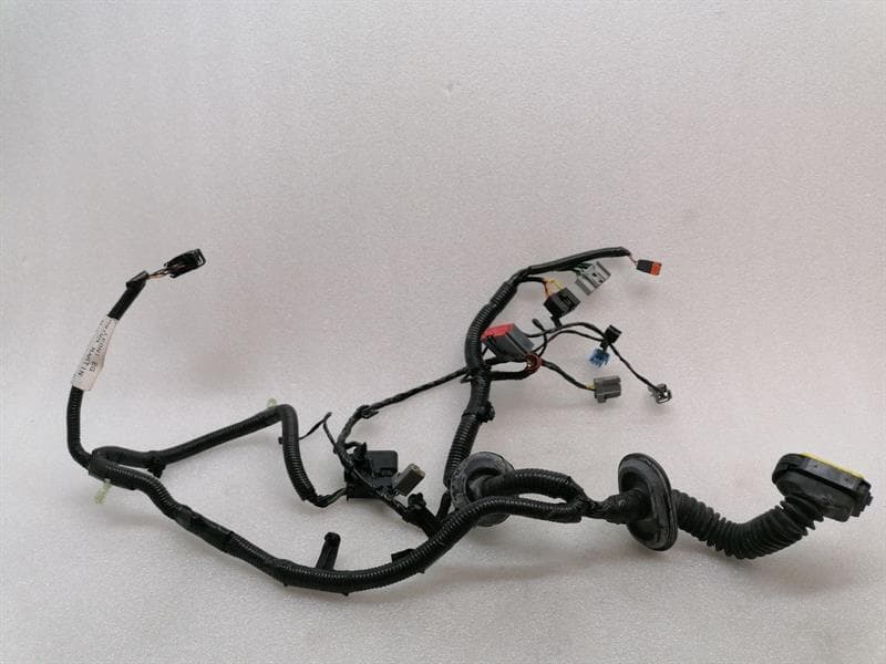 ASTON MARTIN ASTON MARTIN RAPID S Wiring Loom BD43-14632-BA Harness RR DOOR