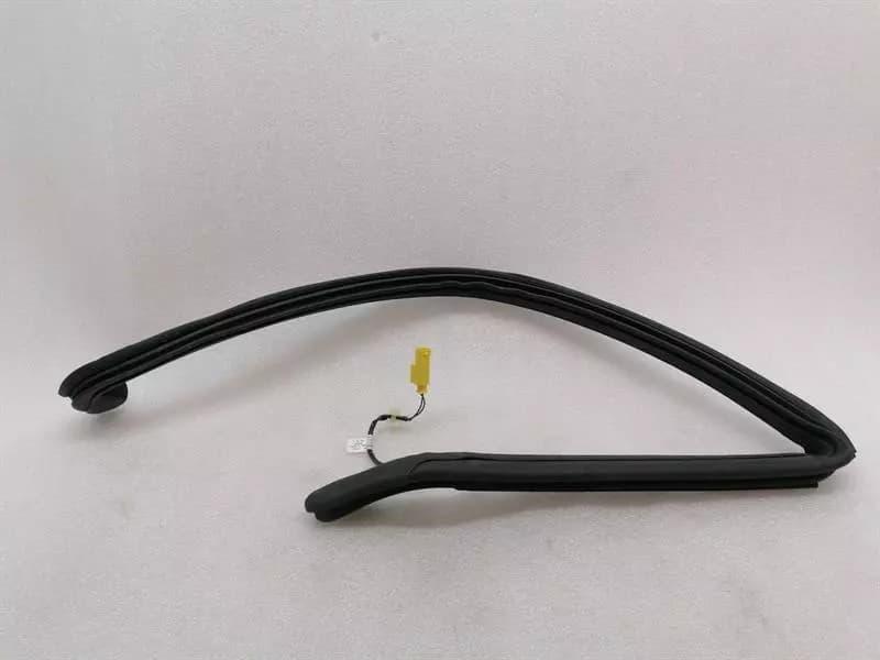 ASTON MARTIN RAPID S Door Seal ED43-F20708-DB Door Seals HEATED RR REAR