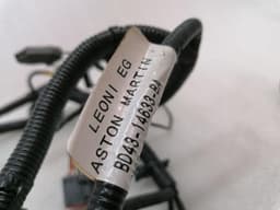 ASTON MARTIN ASTON MARTIN RAPID S Wiring REAR LEFT DOOR AD43-14633-BA Harness — thumbnail 6