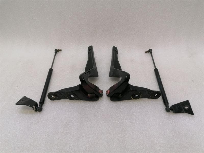 Aston Martin Vanquish AM310 boat hinge CD33-L42700-AB tailgate hinge