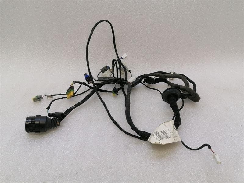 FERRARI Ferrari 612 Scaglietti F137 driver door wiring 201108 driver door wiring harness