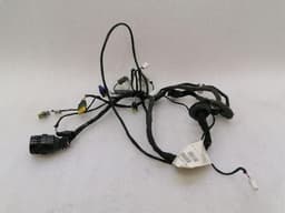 FERRARI Ferrari 612 Scaglietti F137 driver door wiring 201108 driver door wiring harness — thumbnail 6