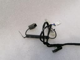FERRARI Ferrari 612 Scaglietti F137 driver door wiring 201108 driver door wiring harness — thumbnail 8