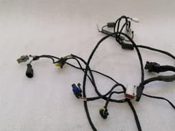 FERRARI Ferrari 612 Scaglietti F137 driver door wiring 201108 driver door wiring harness — thumbnail 7