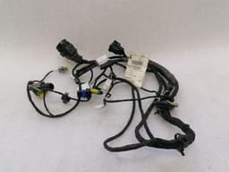 FERRARI Ferrari 612 Scaglietti F137 Passenger Door Wiring 201109 Passenger Door Wiring Harness — thumbnail 1