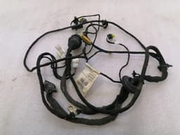 FERRARI Ferrari 612 Scaglietti F137 Passenger Door Wiring 201109 Passenger Door Wiring Harness — thumbnail 6