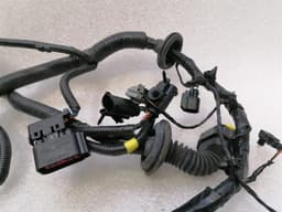 ASTON MARTIN Aston Martin Rapid AMR Driver Door Wiring AD43-14631-CC Driver Door Harness — thumbnail 3