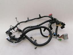 ASTON MARTIN Aston Martin Rapide Passenger Door Wiring AD43-14630-CC Passenger Door Wiring Harness — thumbnail 6