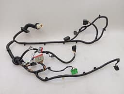 ASTON MARTIN ASTON MARTIN CURVE MK2 2011-2012 Wiring Loom BG43-14631-AA Harness RIGHT DOOR — thumbnail 9