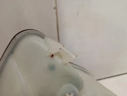 MAYBACH Maybach 62 V240 expansion tank A2405000049 expansion tank cooling water — thumbnail 9