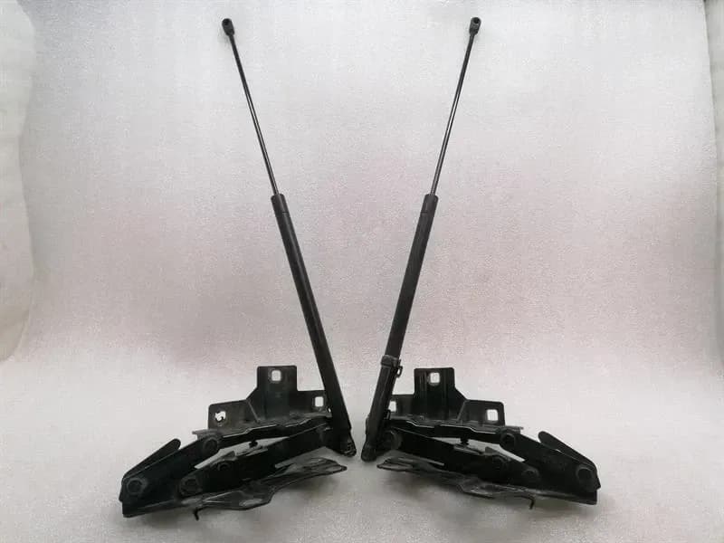 MAYBACH MAYBACH 57 W240 Bonnet Hinge Set A2408800128 Hood Hinge Set