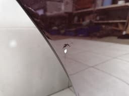 MAYBACH MAYBACH 57 W240 Right Rear Door A2407300205 Door Rear Right — thumbnail 4