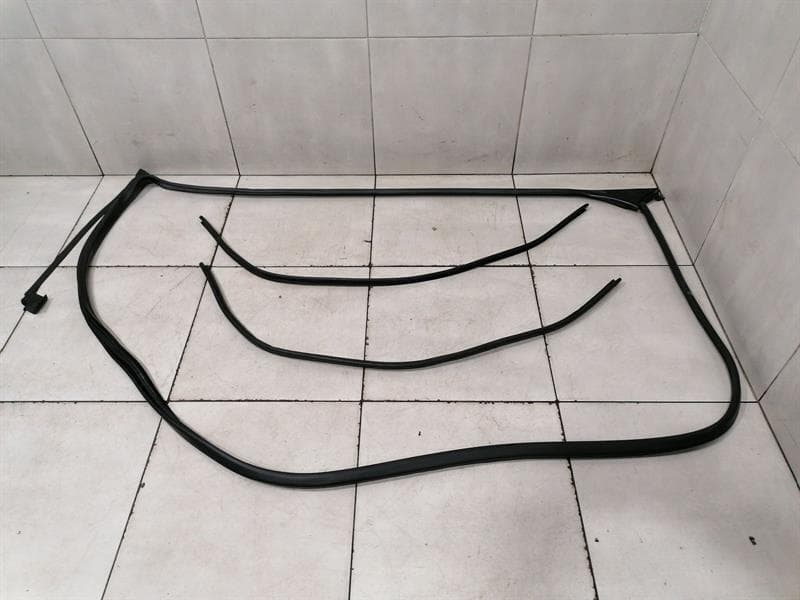 MAYBACH MAYBACH 57 W240 Door Seal FRONT LEFT A2407200178 Door Seals FRONT LEFT