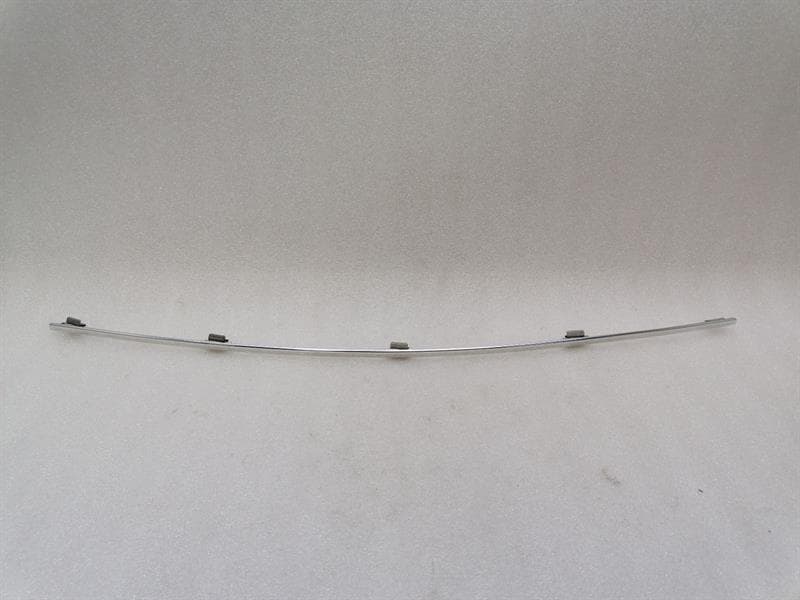 MAYBACH MAYBACH 57 W240 Body Moulding A2406981380 Bar