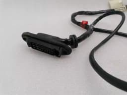 FERRARI Ferrari 550 Maranello F133 Wiring Loom RH DOOR WIRING RHD Wiring Harness — thumbnail 9