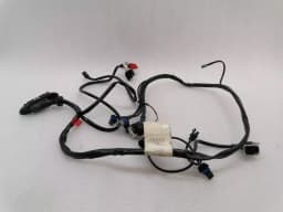 FERRARI Ferrari 550 Maranello F133 Wiring Loom RH DOOR WIRING RHD Wiring Harness — thumbnail 6
