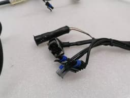 FERRARI Ferrari 550 Maranello F133 Wiring Loom RH DOOR WIRING RHD Wiring Harness — thumbnail 2