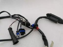 FERRARI Ferrari 550 Maranello F133 Wiring Loom LH DOOR WIRING RHD Wiring Harness — thumbnail 7