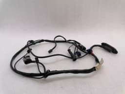 FERRARI Ferrari 550 Maranello F133 Wiring Loom LH DOOR WIRING RHD Wiring Harness — thumbnail 6