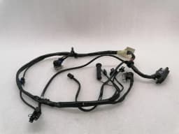 FERRARI Ferrari 550 Maranello F133 Wiring Loom LH DOOR WIRING RHD Wiring Harness — thumbnail 1