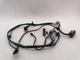 FERRARI Ferrari 550 Maranello F133 Wiring Loom LH DOOR WIRING RHD Wiring Harness — thumbnail 5