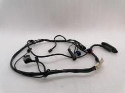 FERRARI Ferrari 550 Maranello F133 Wiring Loom LH DOOR WIRING RHD Wiring Harness — thumbnail 2
