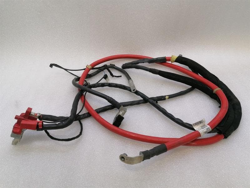 MERCEDES-BENZ MERCEDES CL W217 WIRING LOOM N000000006427 WIRING HARNESS BATTERY